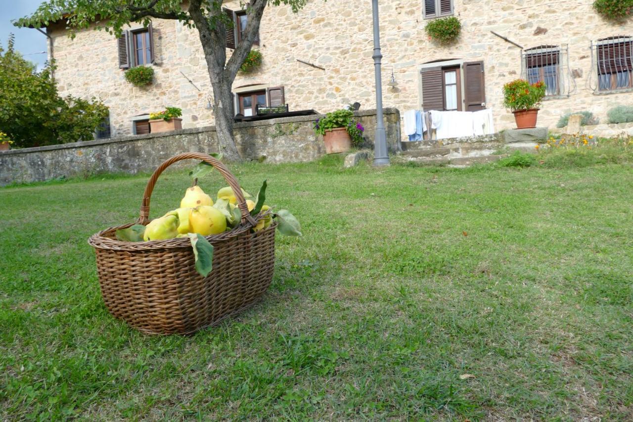 Agriturismo Braccicorti Pieve Fosciana Buitenkant foto