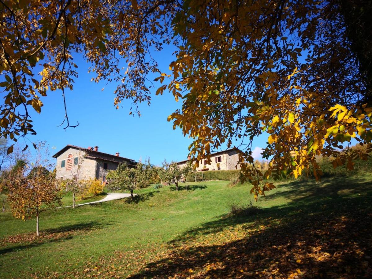 Agriturismo Braccicorti Pieve Fosciana Buitenkant foto