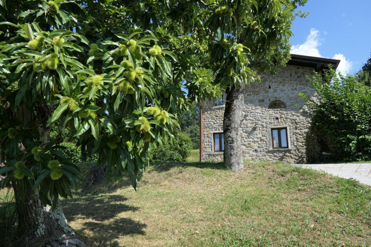 Agriturismo Braccicorti Pieve Fosciana Buitenkant foto