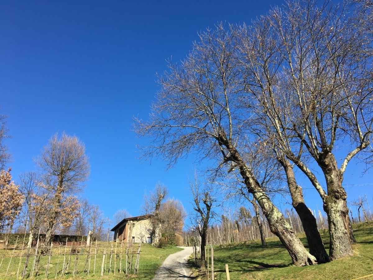 Agriturismo Braccicorti Pieve Fosciana Buitenkant foto